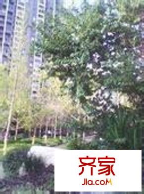 錦繡春城