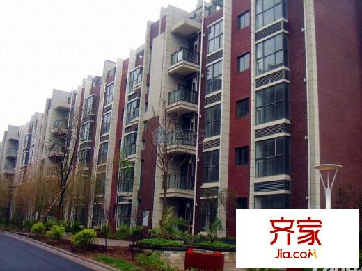 錦繡春城外景圖3