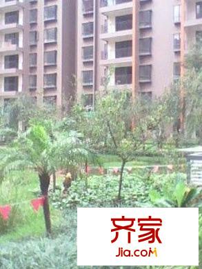 錦繡春城外景圖1