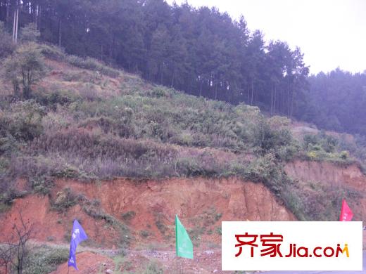 金獅小區(qū)順海組團(tuán)配套圖售樓部正對(duì)面的山體