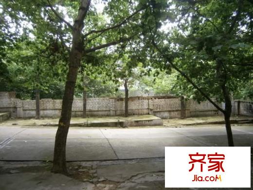 紡紗廠宿舍外景圖 