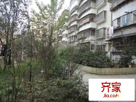 金夏小區(qū)外景圖 