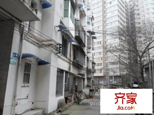 安云路櫻花巷