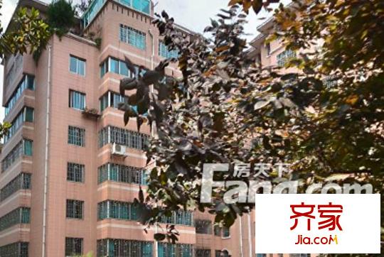紡紗廠宿舍外景圖  2