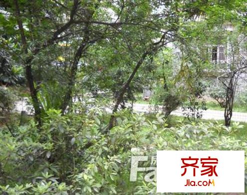 電子研究所宿舍外景圖3