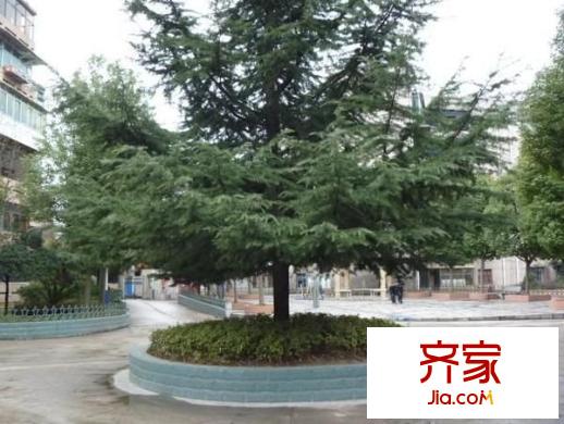 永紅小區(qū)外景圖 