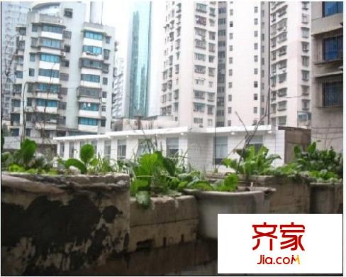 嘉禾路商住樓外景圖 