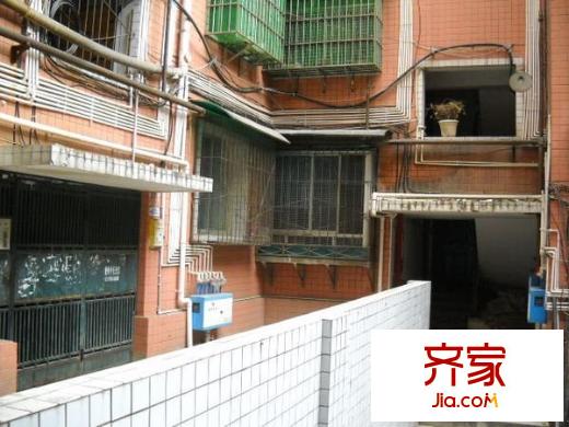 嘉禾路商住樓外景圖 
