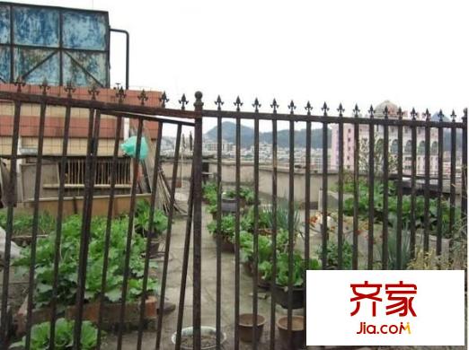 翡翠苑外景圖 