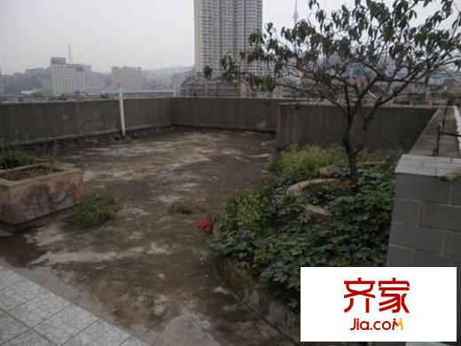君子巷小區(qū)外景圖 