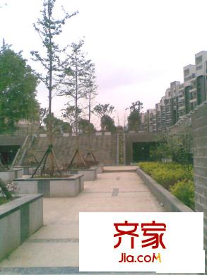 宏業(yè)康馨園實景圖一期休閑廣場實景（2010.04）