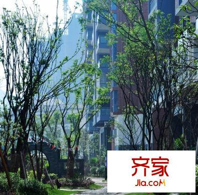 碧園溪林外景圖比2