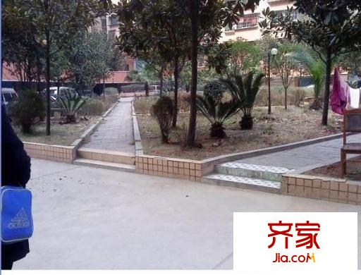 小河區(qū)科技綜合樓外景圖 