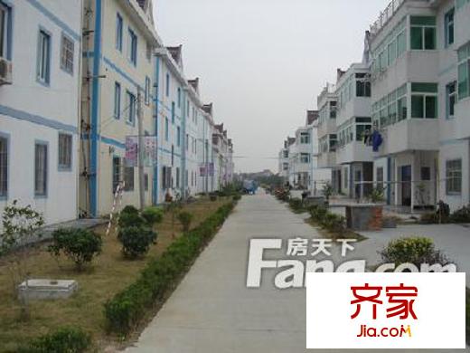 旺角金座外景圖4