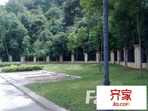 旺角金座外景圖3