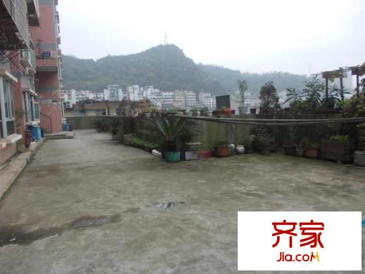 成黔花園