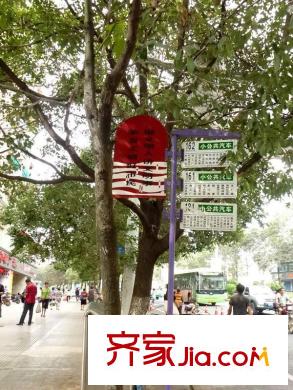 星河國際周邊公交站牌