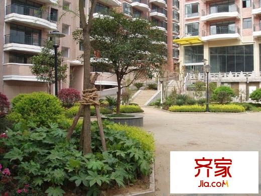 碧園溪林外景圖想和3
