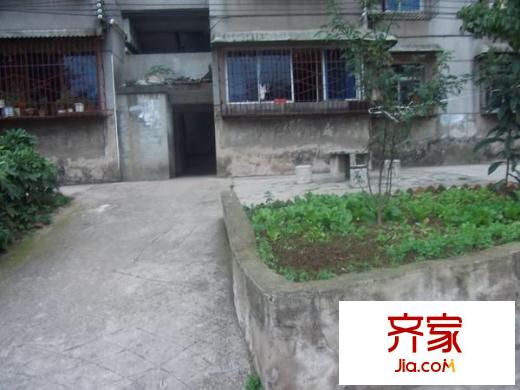 黔江廠宿舍外景圖 
