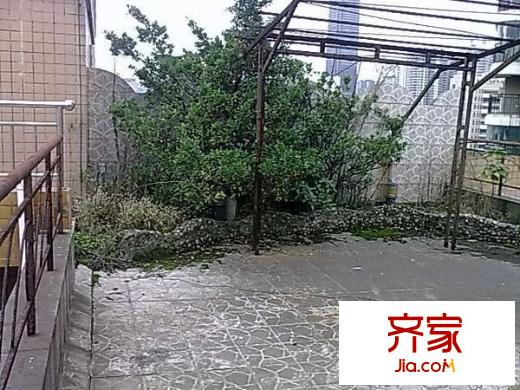 碧麗園外景圖小區(qū) 