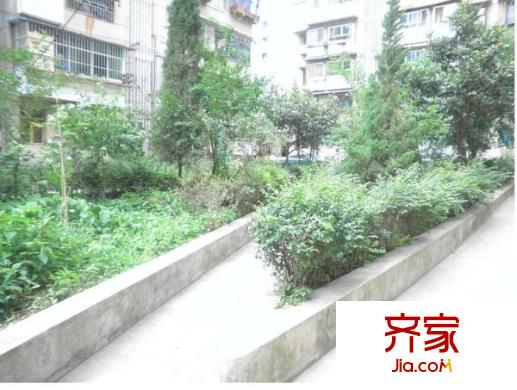 安居5號外景圖 