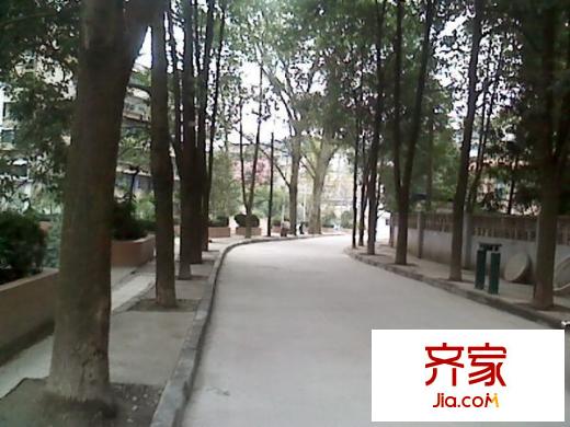 安居5號(hào)外景圖1
