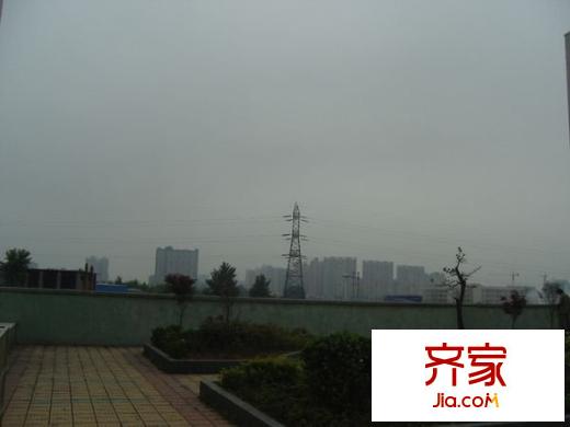 新園小區(qū)外景圖 2室 戶型圖