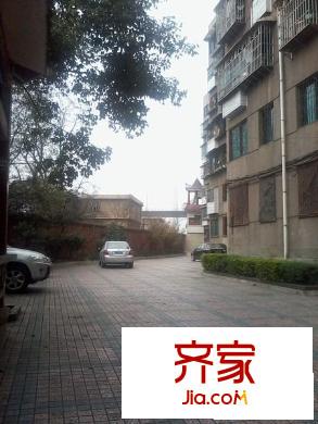 桃園