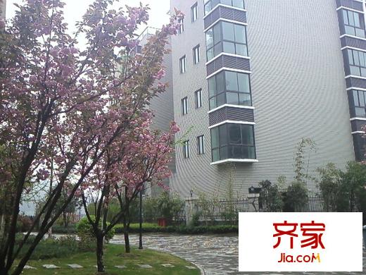 蝴蝶泉花園