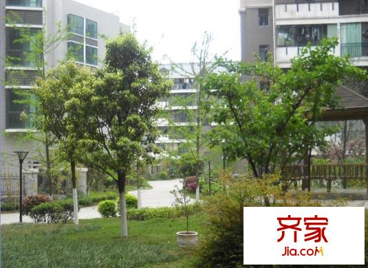 蝴蝶泉花園外景圖13