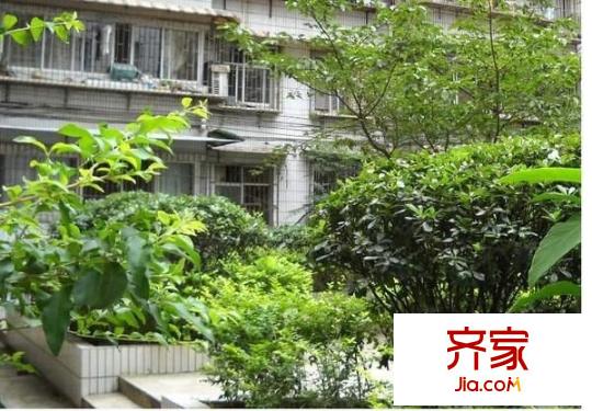 蟠桃宮3號(hào)商住樓外景圖 