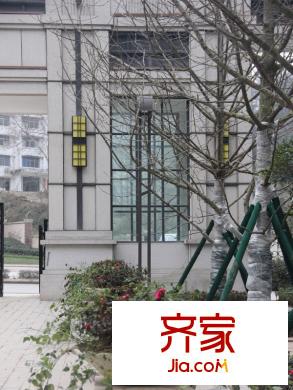 保利紫薇郡門口旁邊樹木（2012-12-21）