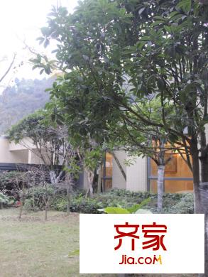 保利紫薇郡樣板間外部（2012-12-21）