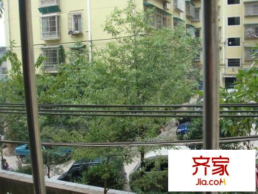 銀盤鑫苑外景圖 