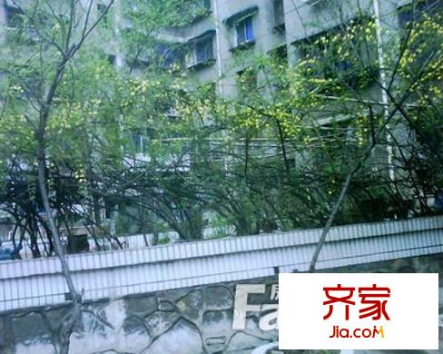 十二中教師宿舍外景圖2