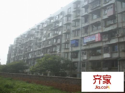 新園小區(qū)外景圖1