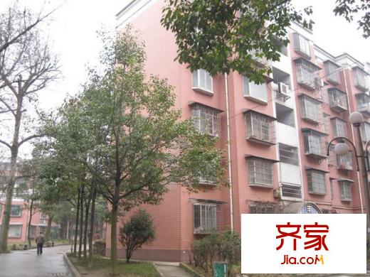新園小區(qū)外景圖_4