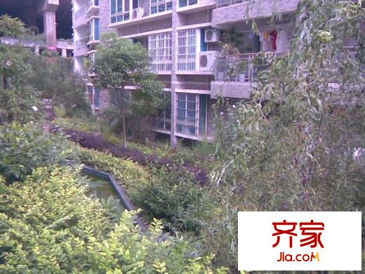 安泰小區(qū)外景圖 