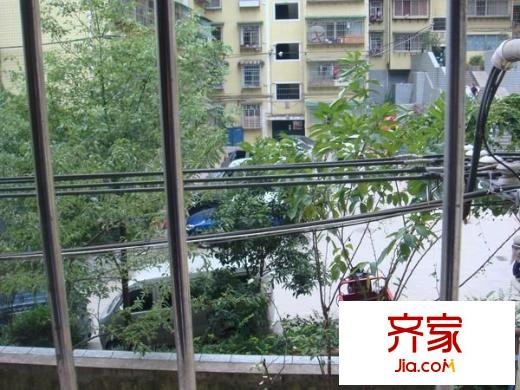 銀盤鑫苑外景圖 