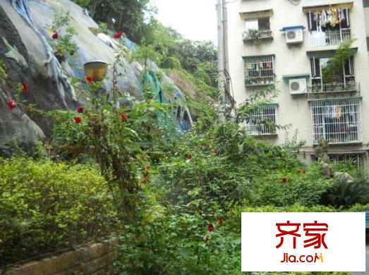 逸彩馨苑外景圖1
