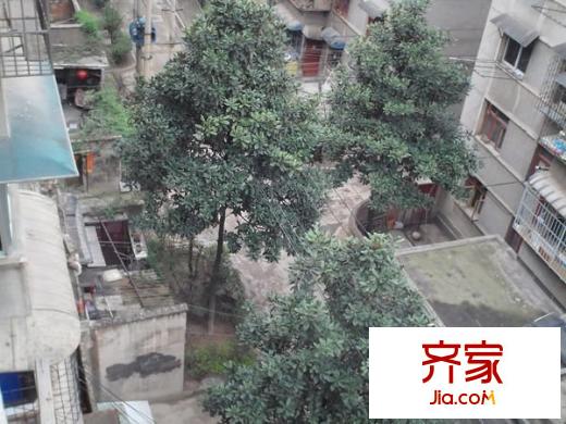 軸承廠宿舍外景圖 
