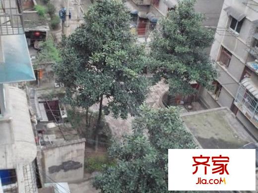 軸承廠宿舍外景圖 