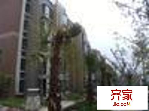 小河中曹司