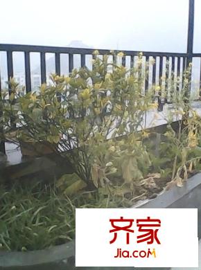 小河中曹司外景圖 