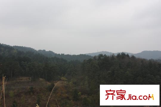 經(jīng)典天成項目周邊山林配套（2013-02-25）