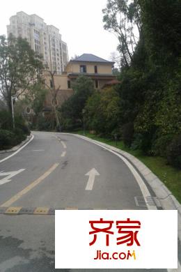 經(jīng)典天成
