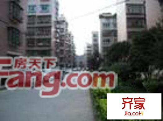 新添菜場小區(qū)外景圖新添菜場-4