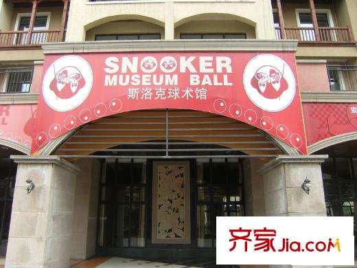 金龍國際花園球館