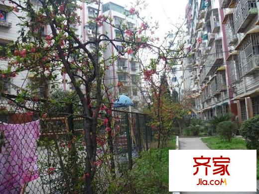 榕筑花園一區(qū)外景圖 