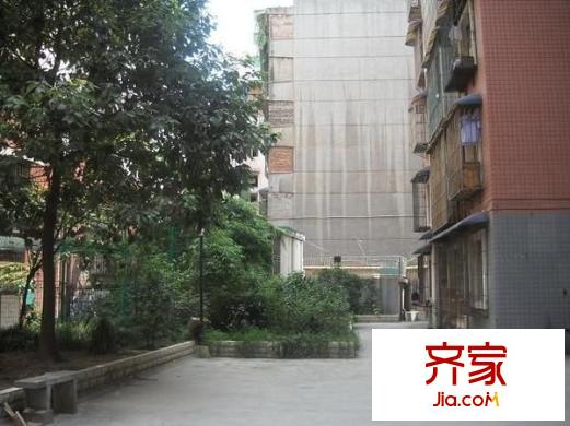 麒龍家園外景圖 